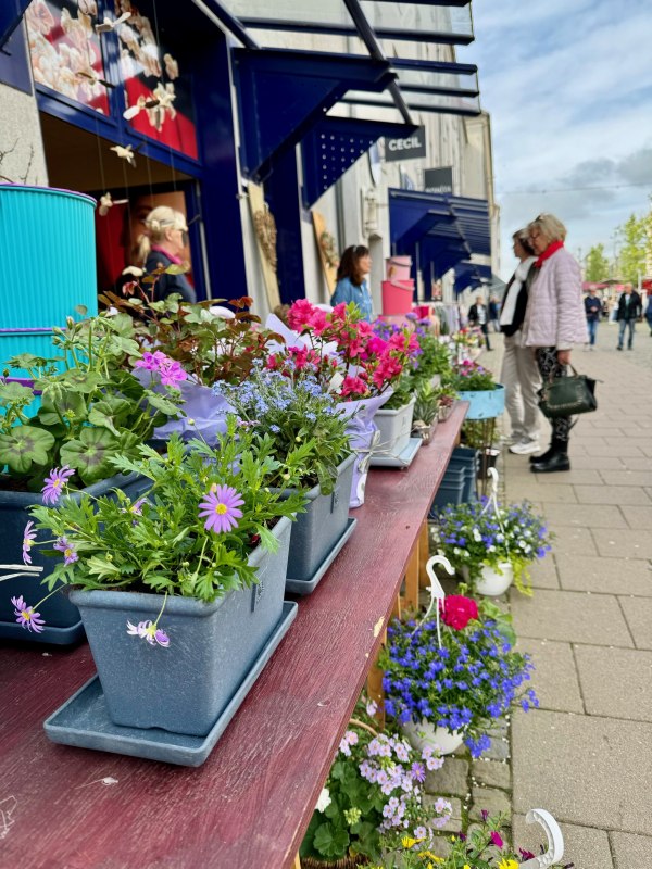 &copy; &copy; Die Stadtmagneten e. V.