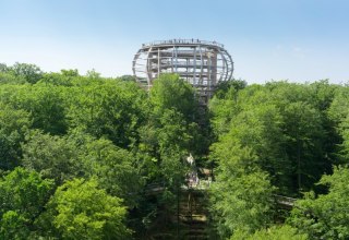Der Baumwipfelpfad mit dem Aussichtsturm „Adlerhorst“ liegt inmitten eines Buchenwaldes in Prora auf der Insel Rügen. // © Erlebnis Akademie AG / Naturerbe Zentrum Rügen Der Baumwipfelpfad mit dem Aussichtsturm „Adlerhorst“ liegt inmitten eines Buchenwaldes in Prora auf der Insel Rügen. // © Erlebnis Akademie AG / Naturerbe Zentrum Rügen