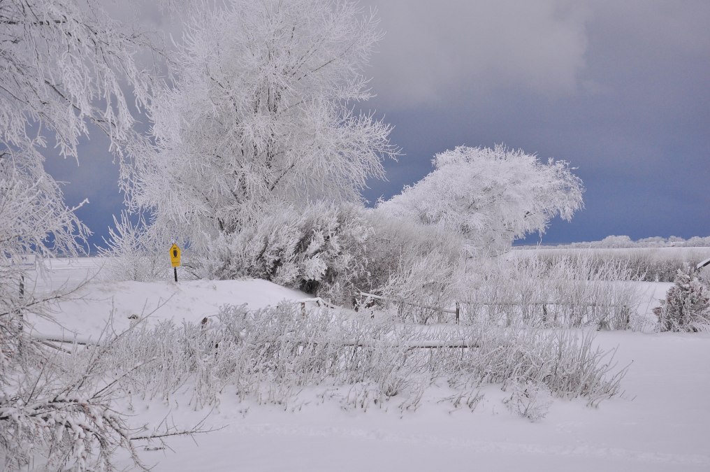 2010Dez16_20__92__I_Stodian, © Nationalparkamt Vorpommern 2010Dez16_20__92__I_Stodian, © Nationalparkamt Vorpommern