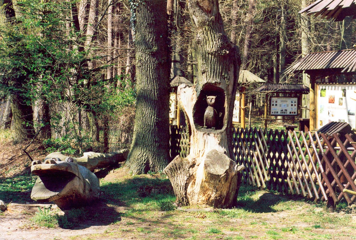 &copy; Stadt Ribnitz Damgarten