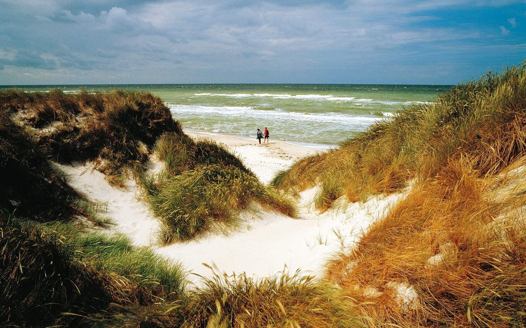 Natureindr&uuml;cke von der Halbinsel Fischland-Dar&szlig;-Zingst // &copy; MV-T/Grundner