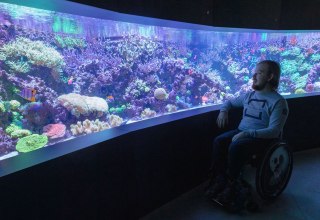 Leuchtende tropische Korallen kann man im MEERESMUSEUM bei einer Aquarienführung entdecken. // © Anke Neumeister/Deutsches Meeresmuseum Leuchtende tropische Korallen kann man im MEERESMUSEUM bei einer Aquarienführung entdecken. // © Anke Neumeister/Deutsches Meeresmuseum