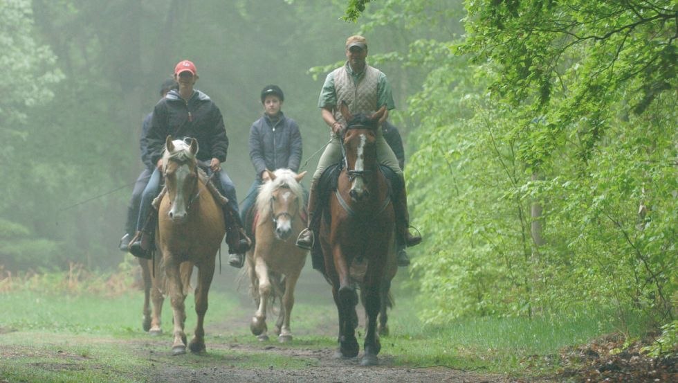 Ob Schritt, Trab oder Galopp- auf 60 km Reit- und Fahrwegen in der Rostocker Heide ist alles m&ouml;glich. // &copy; Reitstall Stuthof