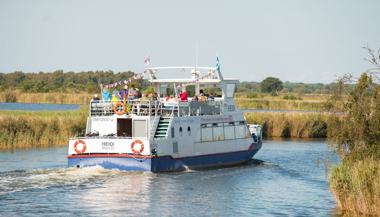 Reederei Rasche, &copy; Moritz Kertzscher