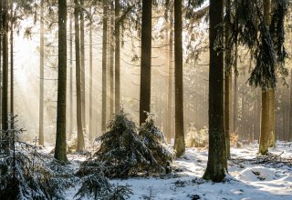 © Foto von Babette Landmesser auf Unsplash