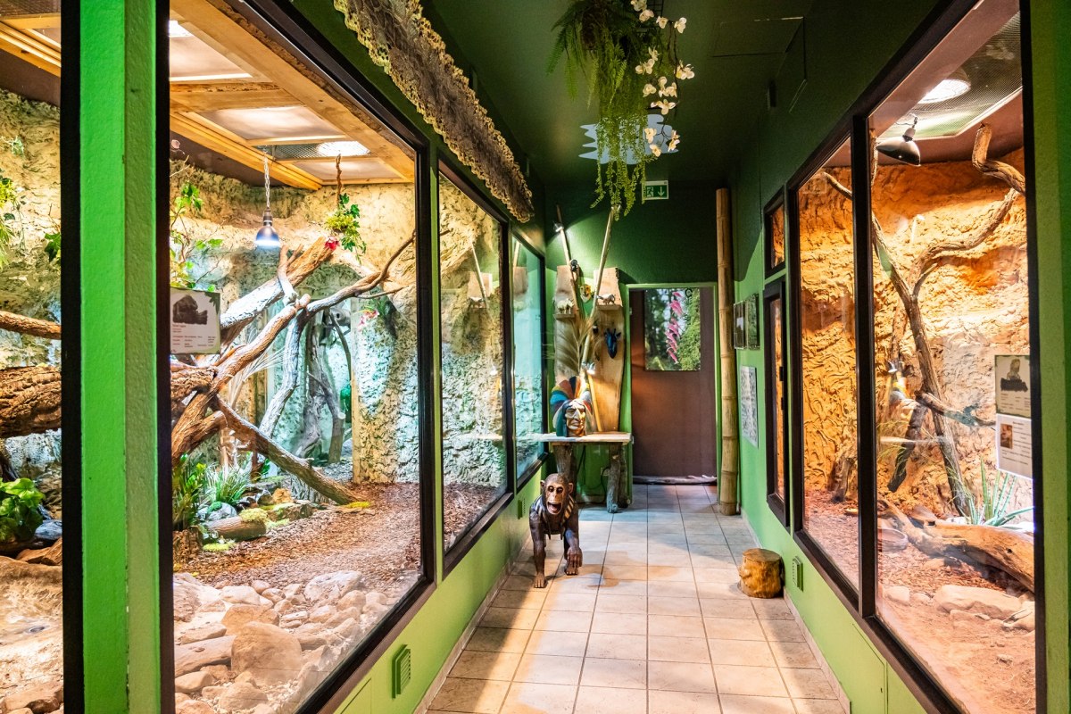 © Tropenzoo_Bansin_Marcel_Piper © Tropenzoo_Bansin_Marcel_Piper