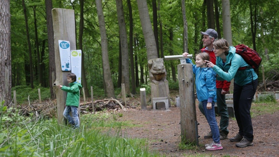 Die Wälder in und um Graal-Müritz können in der Erlebniswelt Küstenwald erforscht werden., © TMV/outdoor-visions.com Die Wälder in und um Graal-Müritz können in der Erlebniswelt Küstenwald erforscht werden., © TMV/outdoor-visions.com