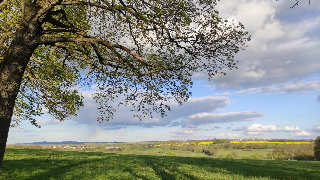 Blick vom Hohen Holz auf Teterow, © Jana Koch Blick vom Hohen Holz auf Teterow, © Jana Koch