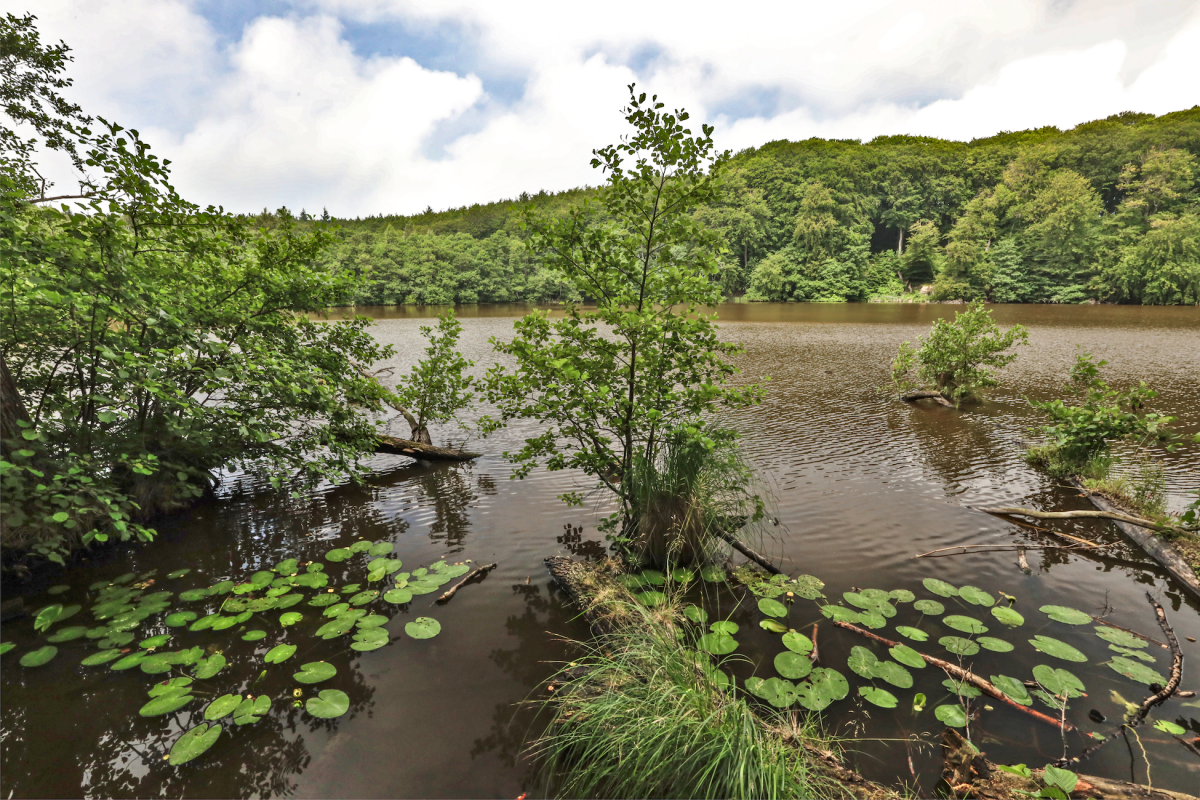 © TMV/Gohlke © TMV/Gohlke