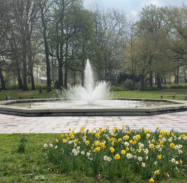 © HANSESTADT Stralsund I Pressestelle