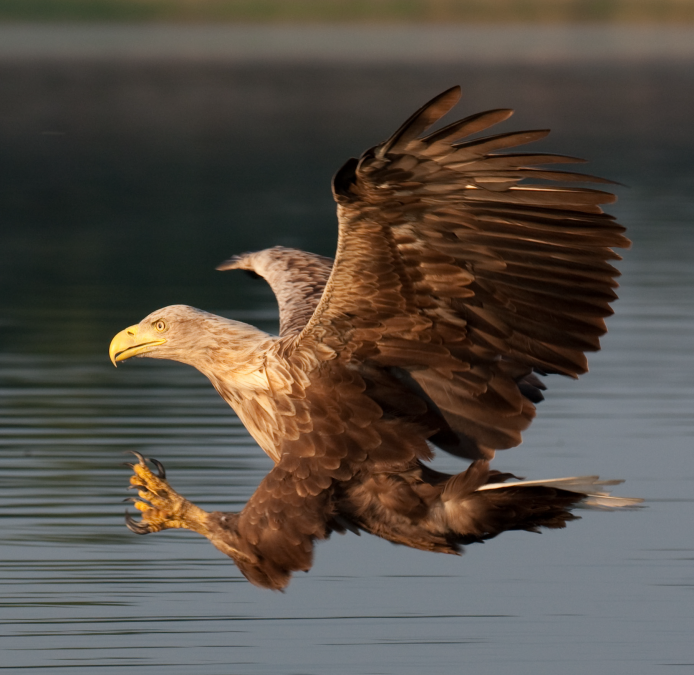 Multivisionsshow, © Kurverwaltung Mönchgut Multivisionsshow, © Kurverwaltung Mönchgut