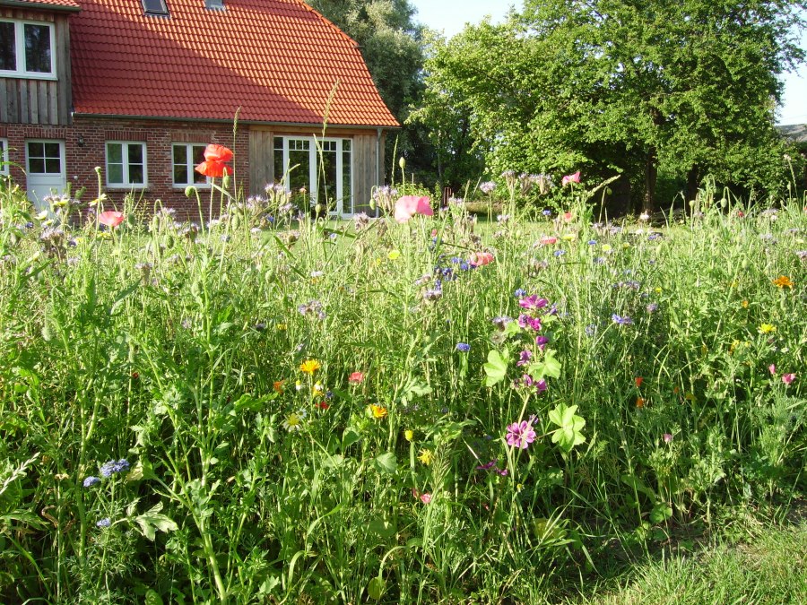 Smedsens Hoff 1 Galerie PL, © Galerie PL Smedsens Hoff 1 Galerie PL, © Galerie PL