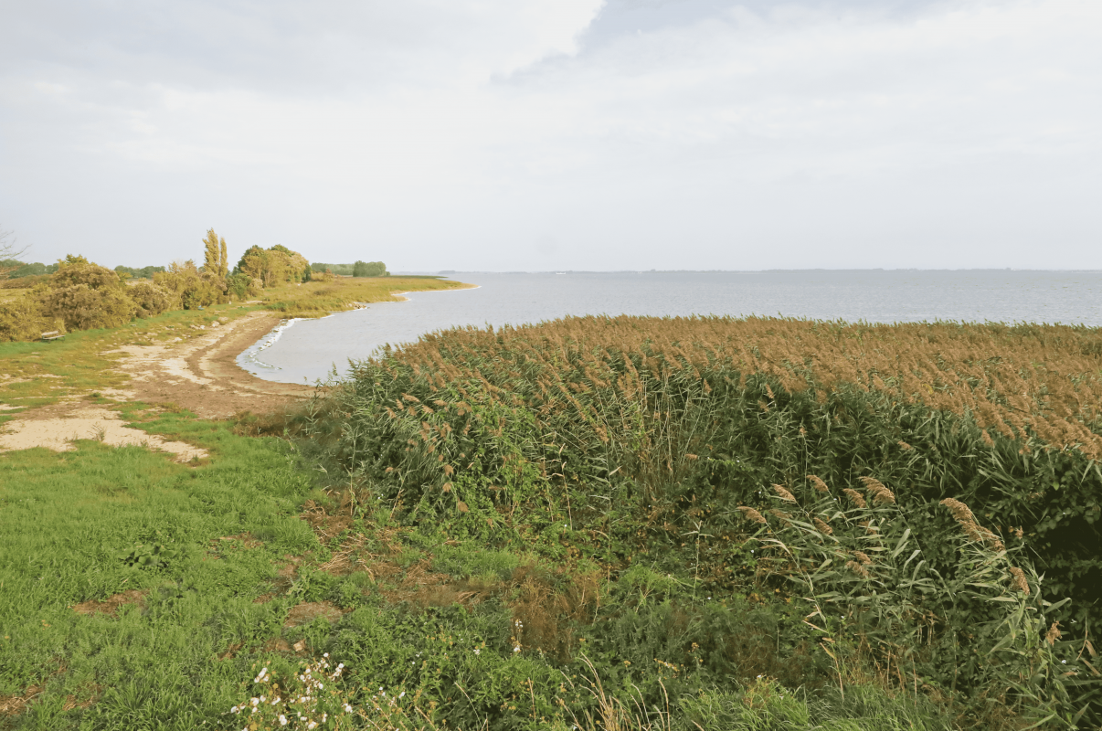 Wasserzugang // &copy; TMV/Gohlke