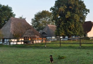Paardenboerderij Schwalbennest: Uitzicht op onze kleine, door een familie gerunde manege in J&ouml;rnstorf, waar jij en je huisdieren van harte welkom zijn. // &copy; Pferdehof Schwalbennest/ Rauth