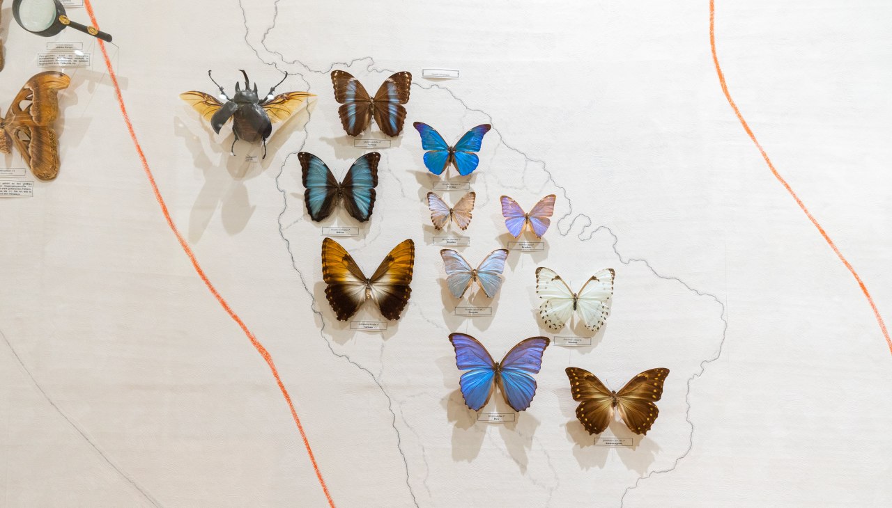 Natur-Schatzkammer, © Moritz Kertzscher Natur-Schatzkammer, © Moritz Kertzscher