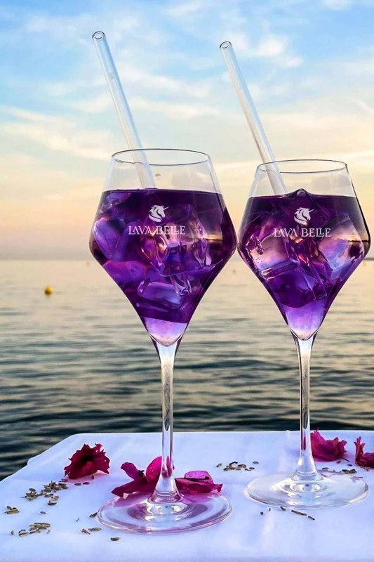 &copy; SEETELHOTELS