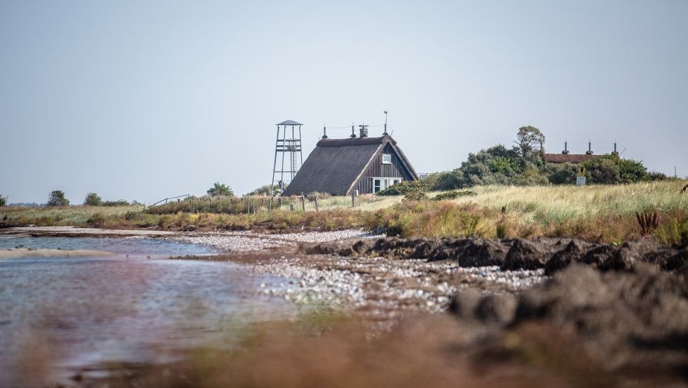 Vogeleiland Langenwerder bij Poel // &copy; Liene Photografie Nadine Sorgenfried