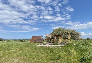 &copy; D&eacute;sir&eacute;e Kalweit