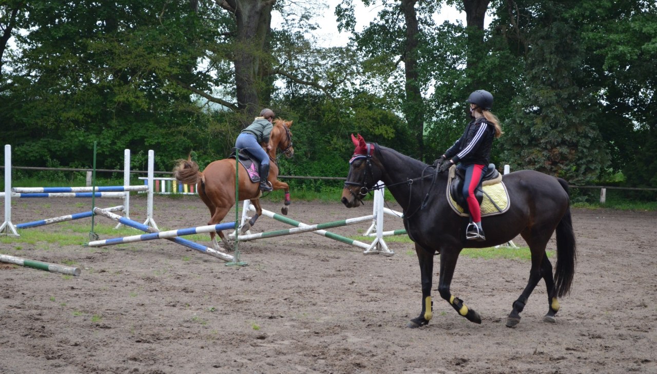 Im Reit- und Fahrverein Daugzin e.V. lernt man von der Pike auf das Reiten., © Karoline Görs Im Reit- und Fahrverein Daugzin e.V. lernt man von der Pike auf das Reiten., © Karoline Görs