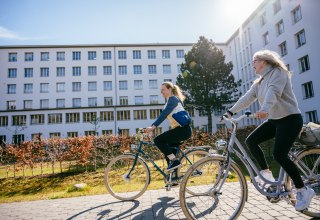 &copy; Binzer Bucht Tourismus