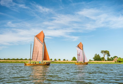 Zwei traditionelle Zeesboote mit rotbraunen Segeln gleiten bei Sonnenschein &uuml;ber den Bodden vor gr&uuml;ner Uferkulisse.