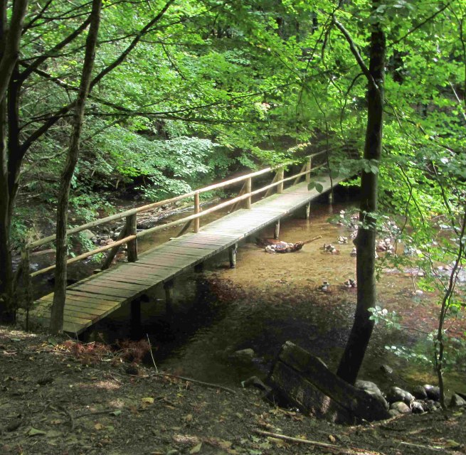 Im Nebeltal, © np-msk Im Nebeltal, © np-msk