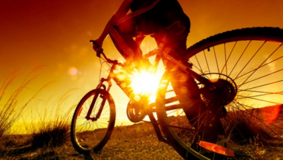 Fahrrad Behncke D&ouml;mitz, &copy; Fahrrad Behncke D&ouml;mitz