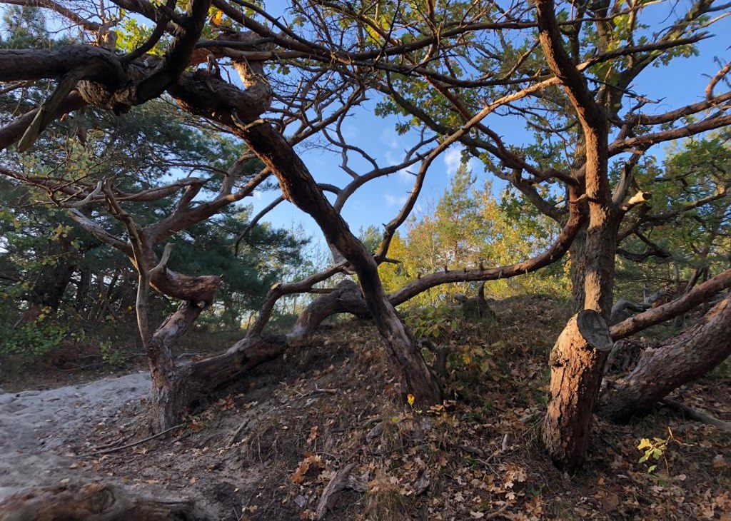 strandaufgang-16_dierhagen, &copy; Kurverwaltung Dierhagen