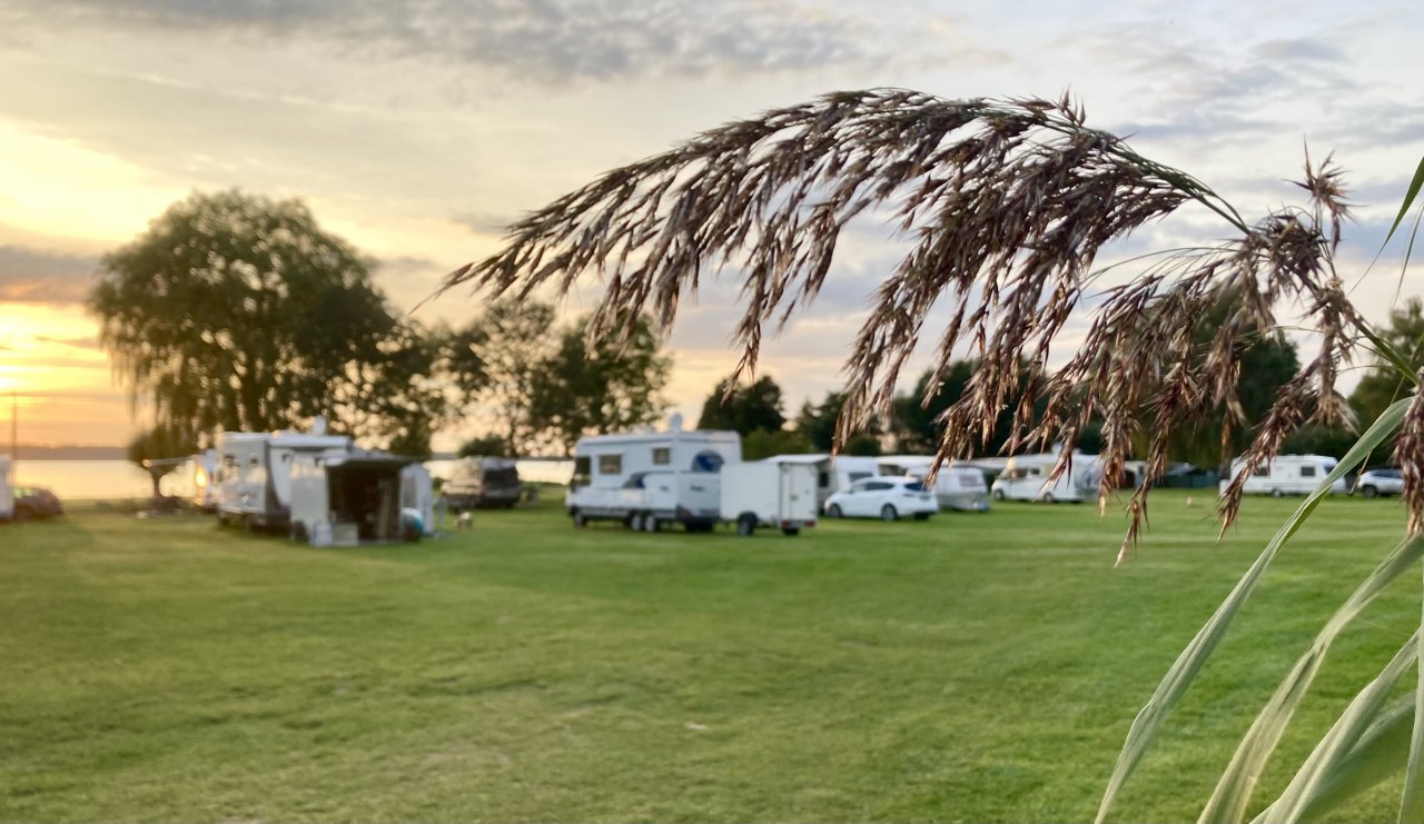 Eine der Campingwiesen... // &copy; Janine Kissel