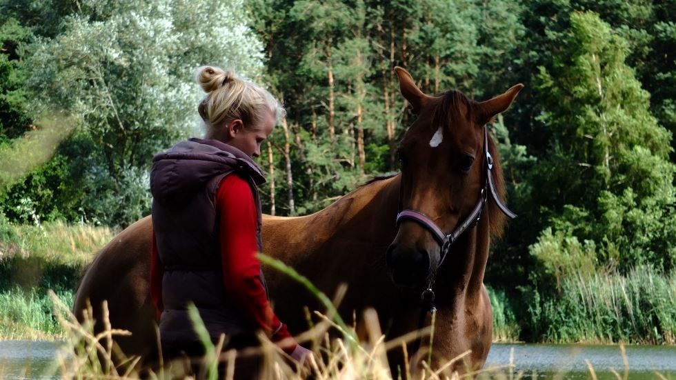 Auf der Reitanlage Mühlenberg können im "Reiter Camp" in kleinen Gruppen tolle Reiterferien verbracht werden // © Reitanlage Mühlenberg/ Mario Mühlenberg Auf der Reitanlage Mühlenberg können im "Reiter Camp" in kleinen Gruppen tolle Reiterferien verbracht werden // © Reitanlage Mühlenberg/ Mario Mühlenberg