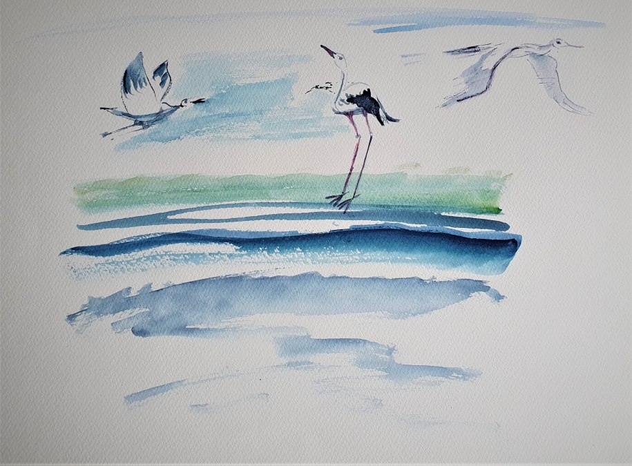 Flug und Landung der Störche am MeerAquarelltechnik auf Papier, © Heike Dittrich