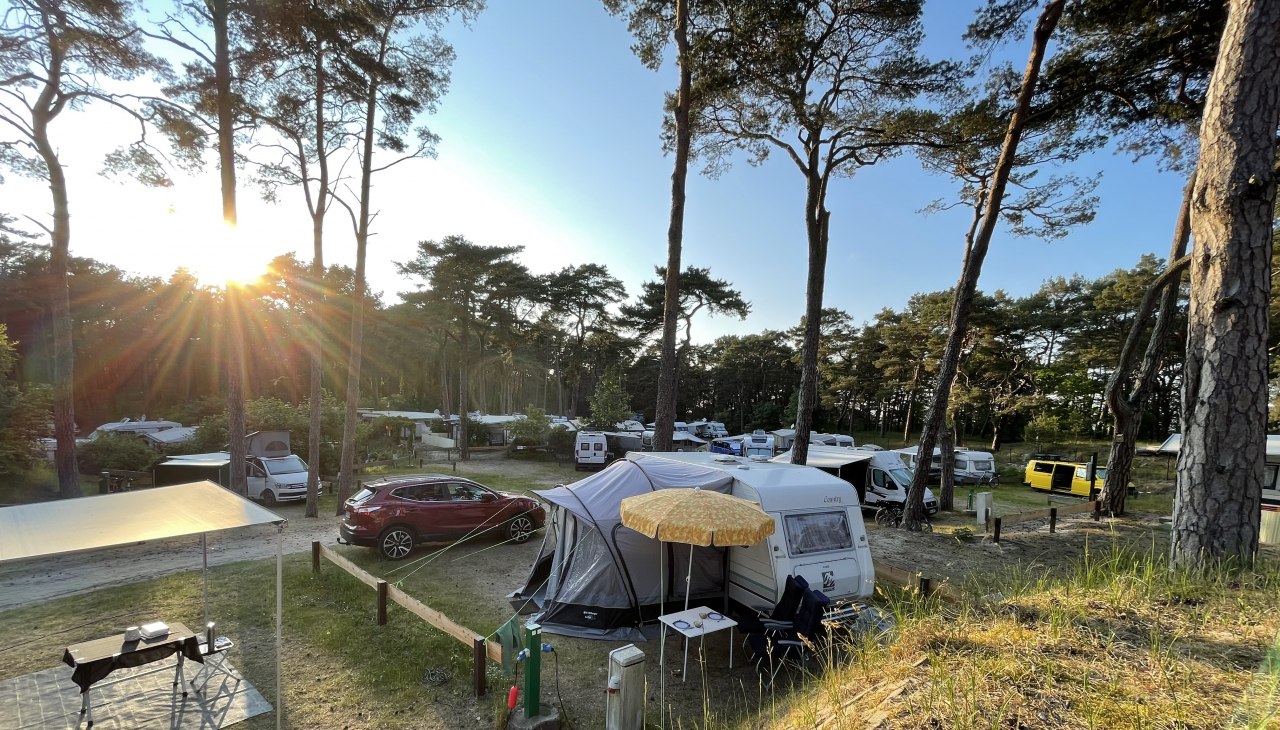 Stellplätze auf dem Campingplatz, © KV Trassenheide Stellplätze auf dem Campingplatz, © KV Trassenheide