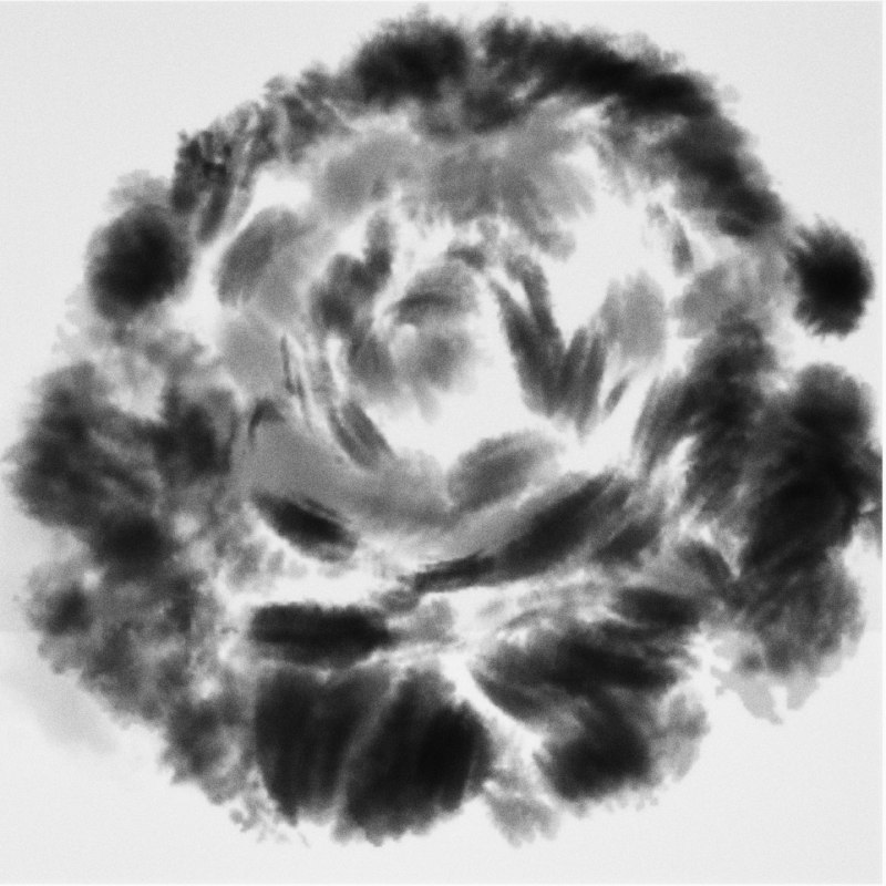 Titelbild Veranstaltung, &copy; Deutsches Japamuseum - Schloss Mitsuko