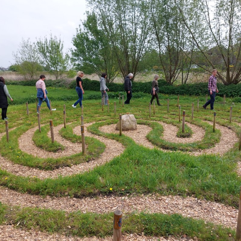 MeerSEIN Akademie   "Lebe und leuchte", &copy; MeerSEIN Akademie