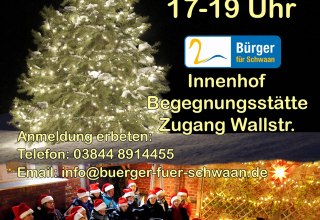 © Bürger für Schwaan e.V.