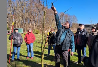 Thomas Franiel demonstriert den Obstbaumschnitt., &copy; Jan LIppke