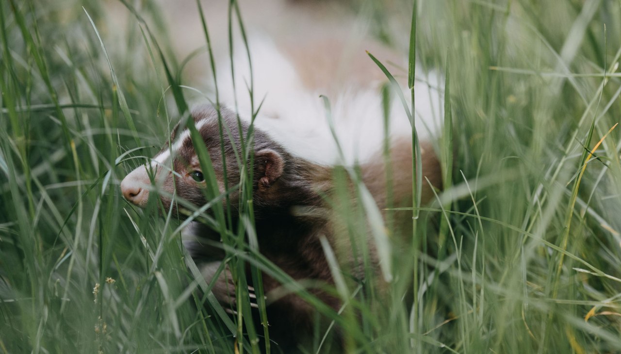 Tiergarten Neustrelitz, &copy; Theresa Lange