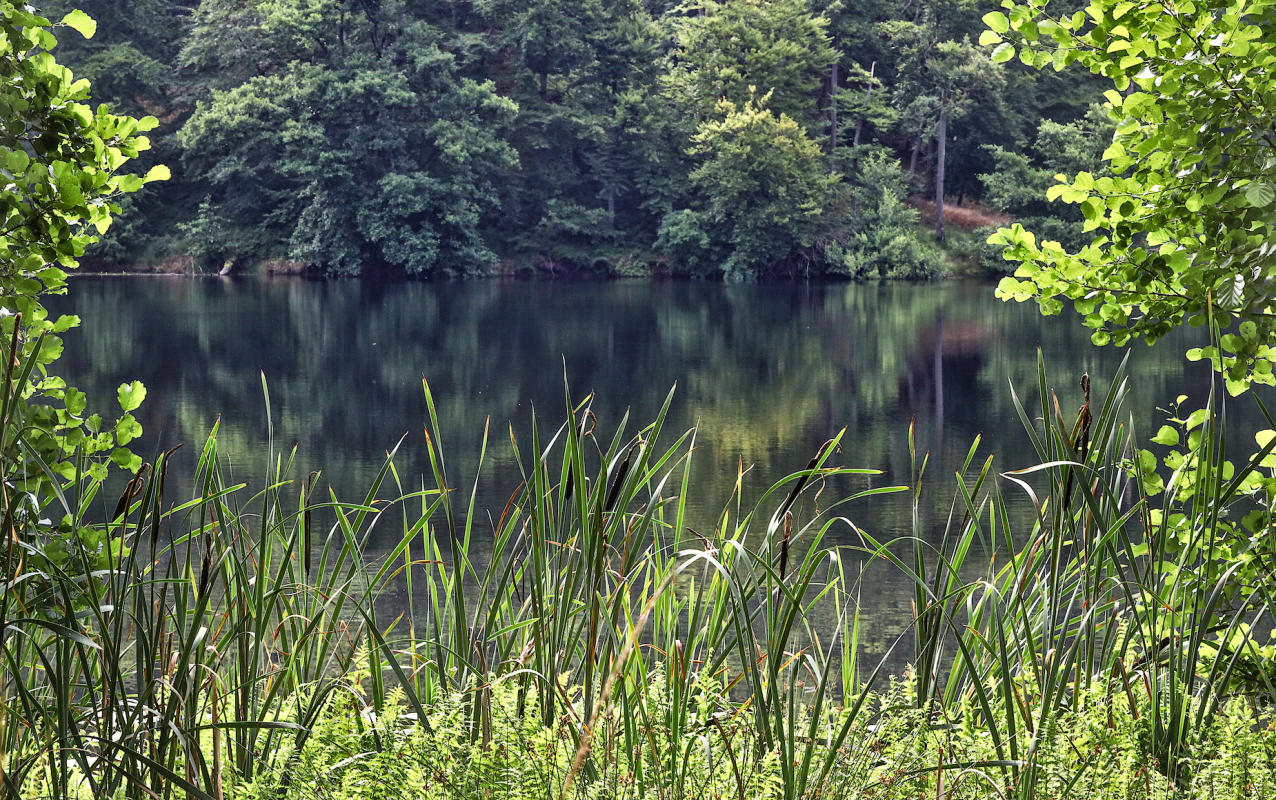 © TMV/Gohlke © TMV/Gohlke