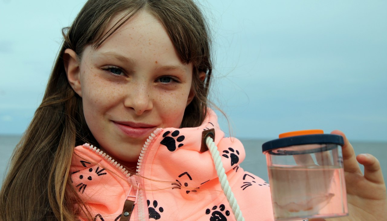 TIPP FÜR FAMILIEN: Familienfreundliche Strandführung, © Picasa TIPP FÜR FAMILIEN: Familienfreundliche Strandführung, © Picasa