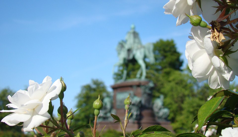 Das Reiterstandbild im Schlossgarten umgeben von Rosen, © Tourismusverband Mecklenburg-Schwerin