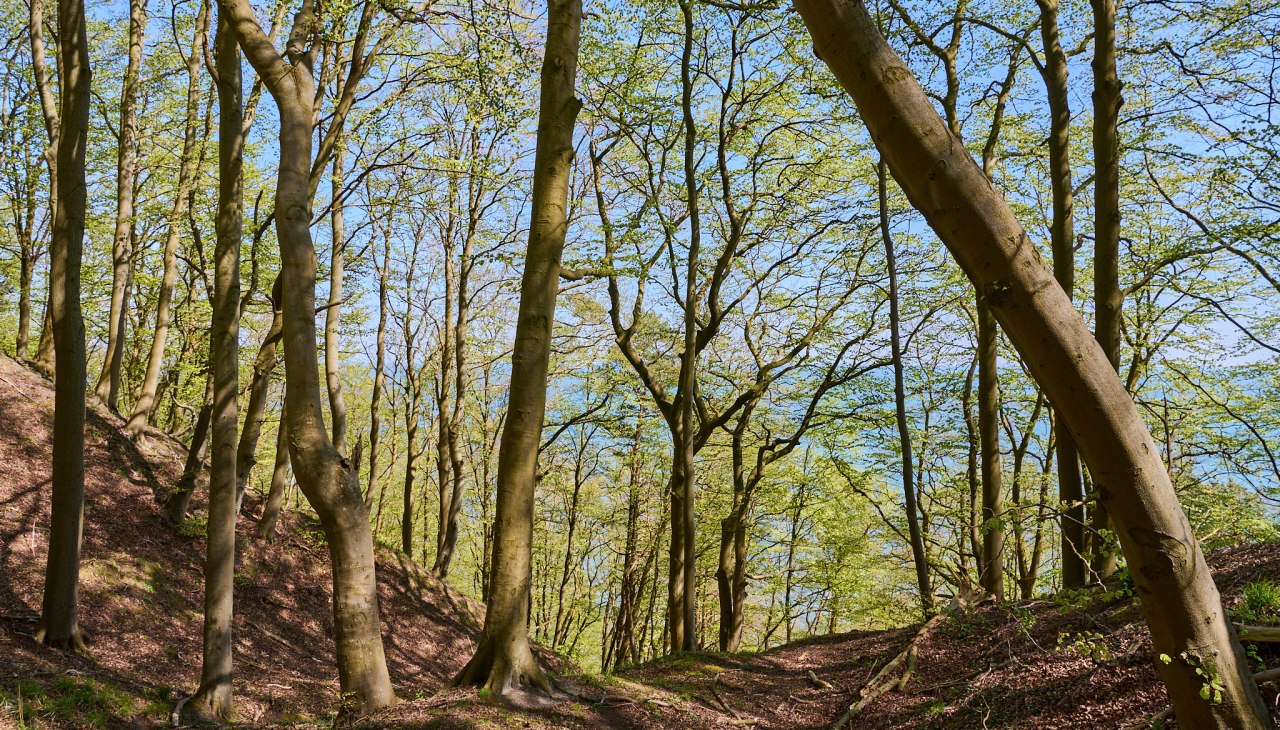 20230508-Granitz-13-Foto-Burwitz-Pocha, © Burwitz Pocha 20230508-Granitz-13-Foto-Burwitz-Pocha, © Burwitz Pocha