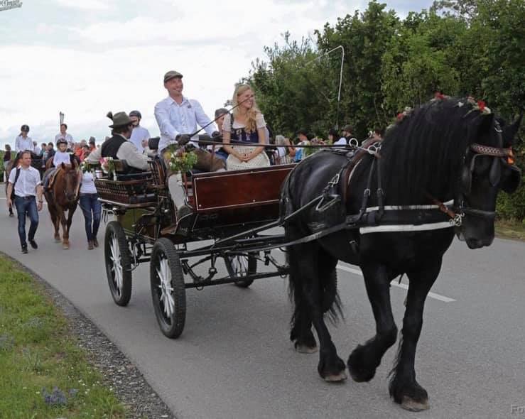 Pferdehof Glasow, © Pferdehof Glasow Pferdehof Glasow, © Pferdehof Glasow