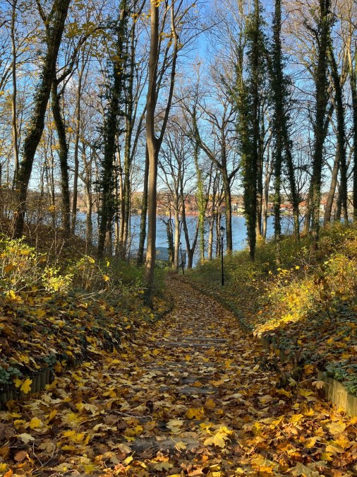 Wege von oben nach unten, © Tourist-Information Malchow Wege von oben nach unten, © Tourist-Information Malchow