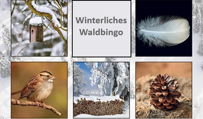 Winterliches Waldbingo, &copy; waldbingo.jpg