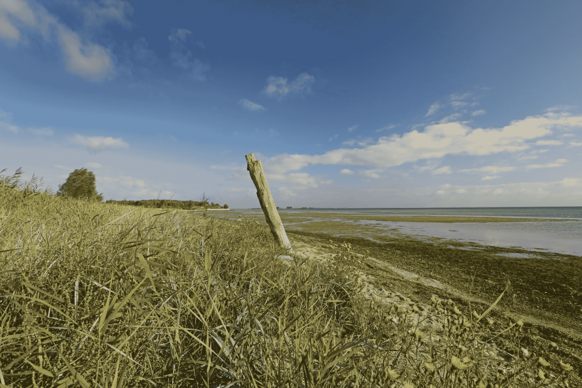 © MV-T/Gohlke © MV-T/Gohlke
