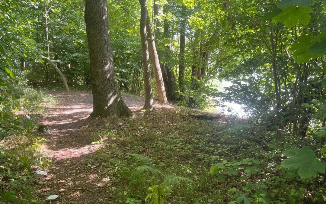 &copy; Touristinformationen Wesenberg & Mirow, Mecklenburgische Kleinseenplatte