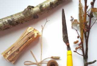 Von der Natur inspirieren lassen und kreativ werden // &copy; Annett Freese
