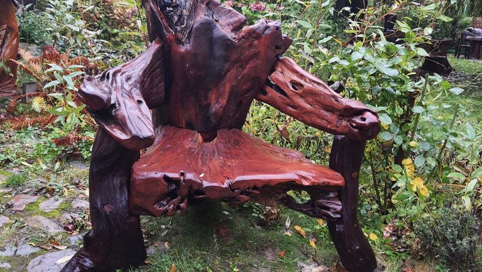 &copy; Dieter Bergmann