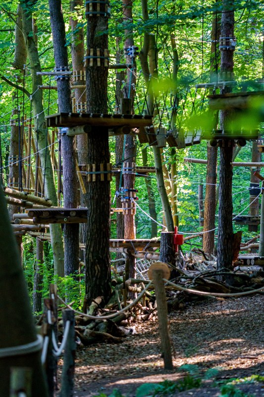 Einblick in die Parcours // &copy; Tom Haagen