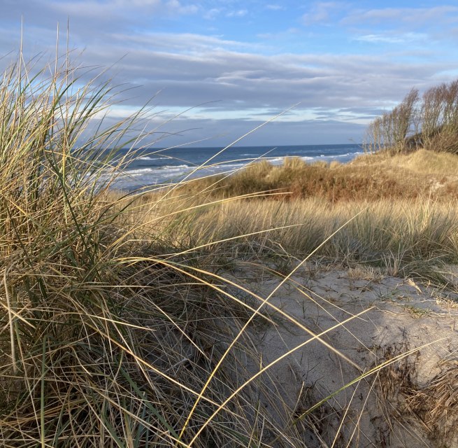 Weststrand Winter, © Nationalparkamt Vorpommern